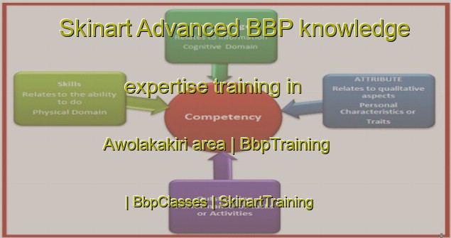 Skinart Advanced BBP knowledge expertise training in Awolakakiri area | BbpTraining | BbpClasses | SkinartTraining-Nigeria